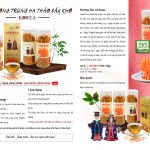 Bông Đông Trùng Hạ Thảo Sấy Khô KOREA – Hộp Lọ 100gr
