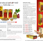 Thái Cực Sâm Củ Khô Hộp Thiếc – Thiên Sâm – Hộp 30gr số 30 (30 củ)