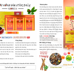 Nước Hồng Sâm Stick Daily KOREA – Hộp 60 gói x 10gr