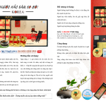 Nước Hắc Sâm KOREA – Hộp 90 gói x 20ml