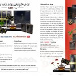 Nước Hắc Sâm Nguyên Bản KOREA – Hộp 30 gói x 80ml