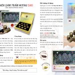 Viên Thiên Sâm Trầm Hương DKG – Hộp 10 viên x 3,75gr