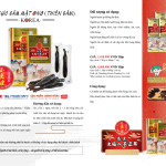 Thái Cực Sâm Mật Ong (Thiên Sâm) – Hộp 300gr (7củ)